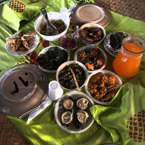 A traditional Fijian lunch awaits cadets and crew at Vuisiga Village. The meal features a variety of local dishes.