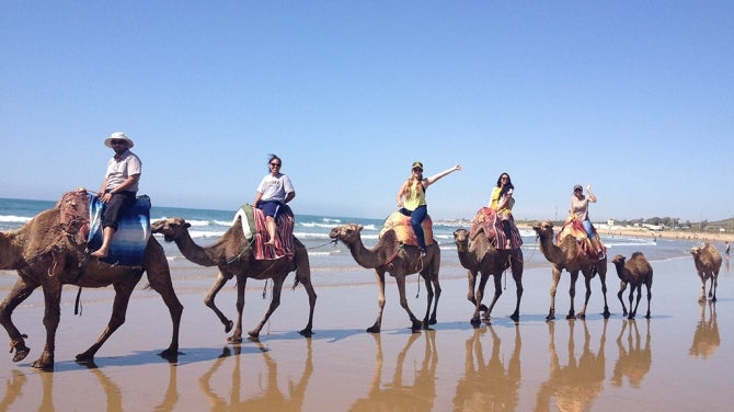 Students riding camels on beach